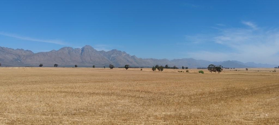 0 Bedroom Property for Sale in Hermon Western Cape